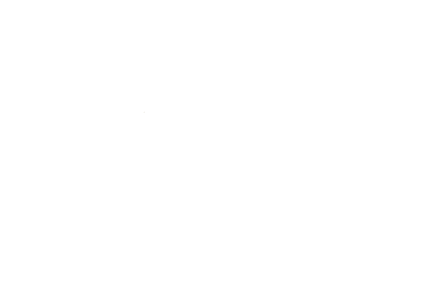 Grace Salon
