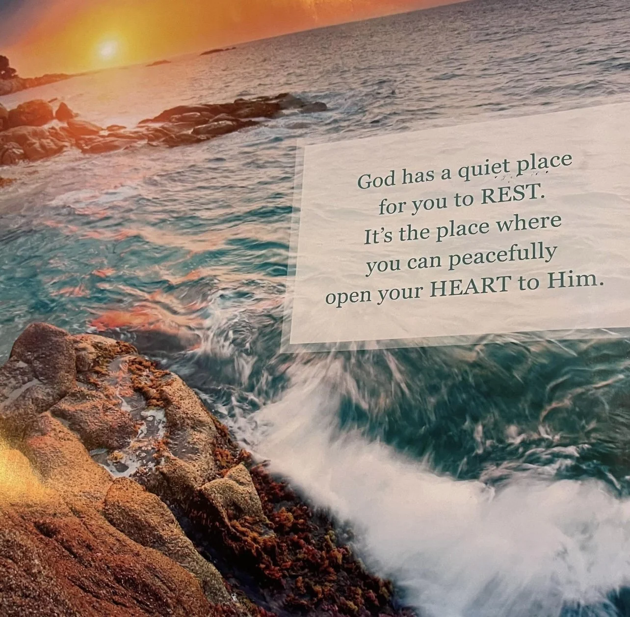 🌿 𝐒𝐮𝐧𝐝𝐚𝐲 𝐒𝐭𝐢𝐥𝐥𝐧𝐞𝐬𝐬