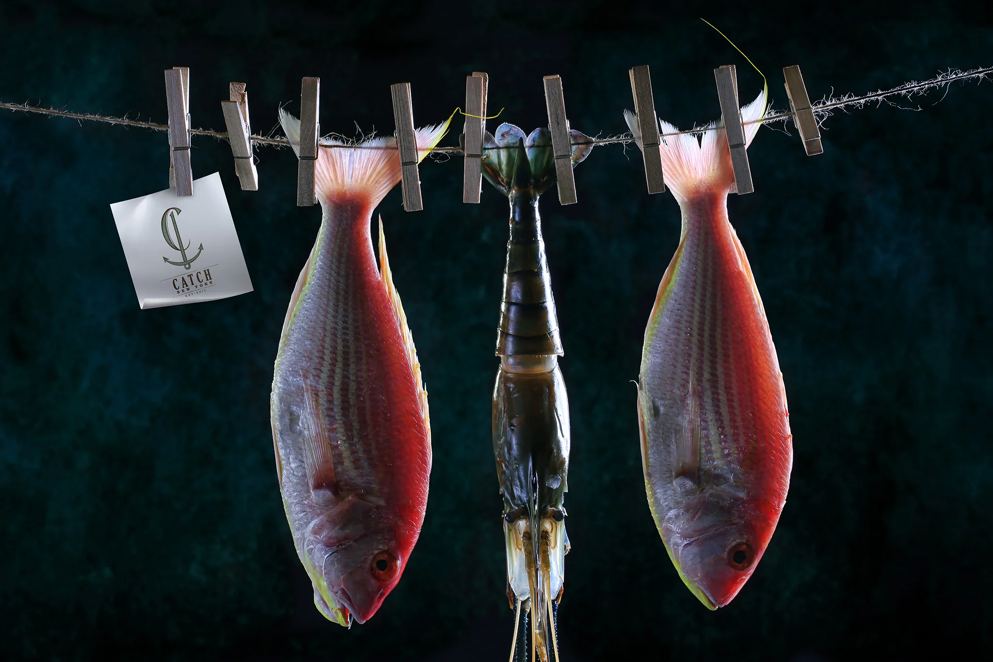 CATCH-295-2B-LOW RES.jpg