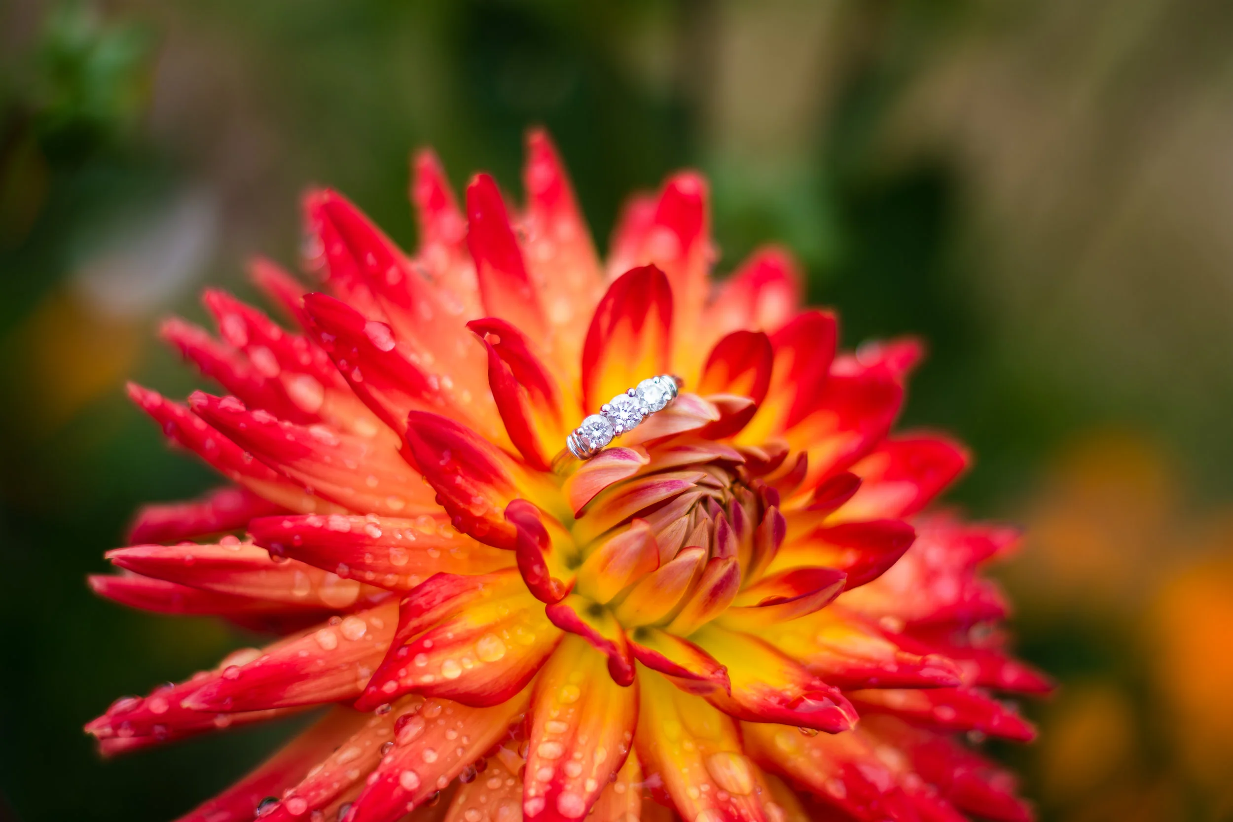 MillichWedding2-43.jpg