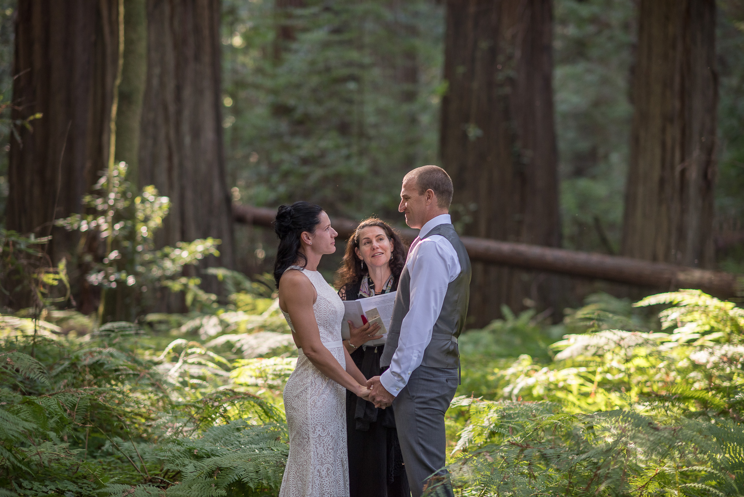 AVENUE OF THE GIANTS MAGICAL ELOPEMENT PARKYS PICS-2.JPG