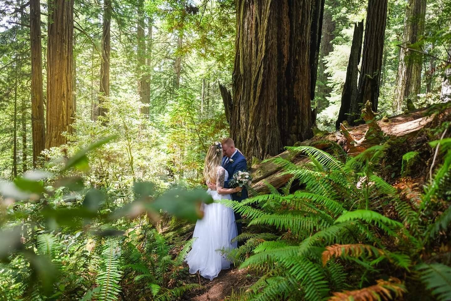 A sneak peek from yesterday's adventure elopement with Hannah and Cody : )