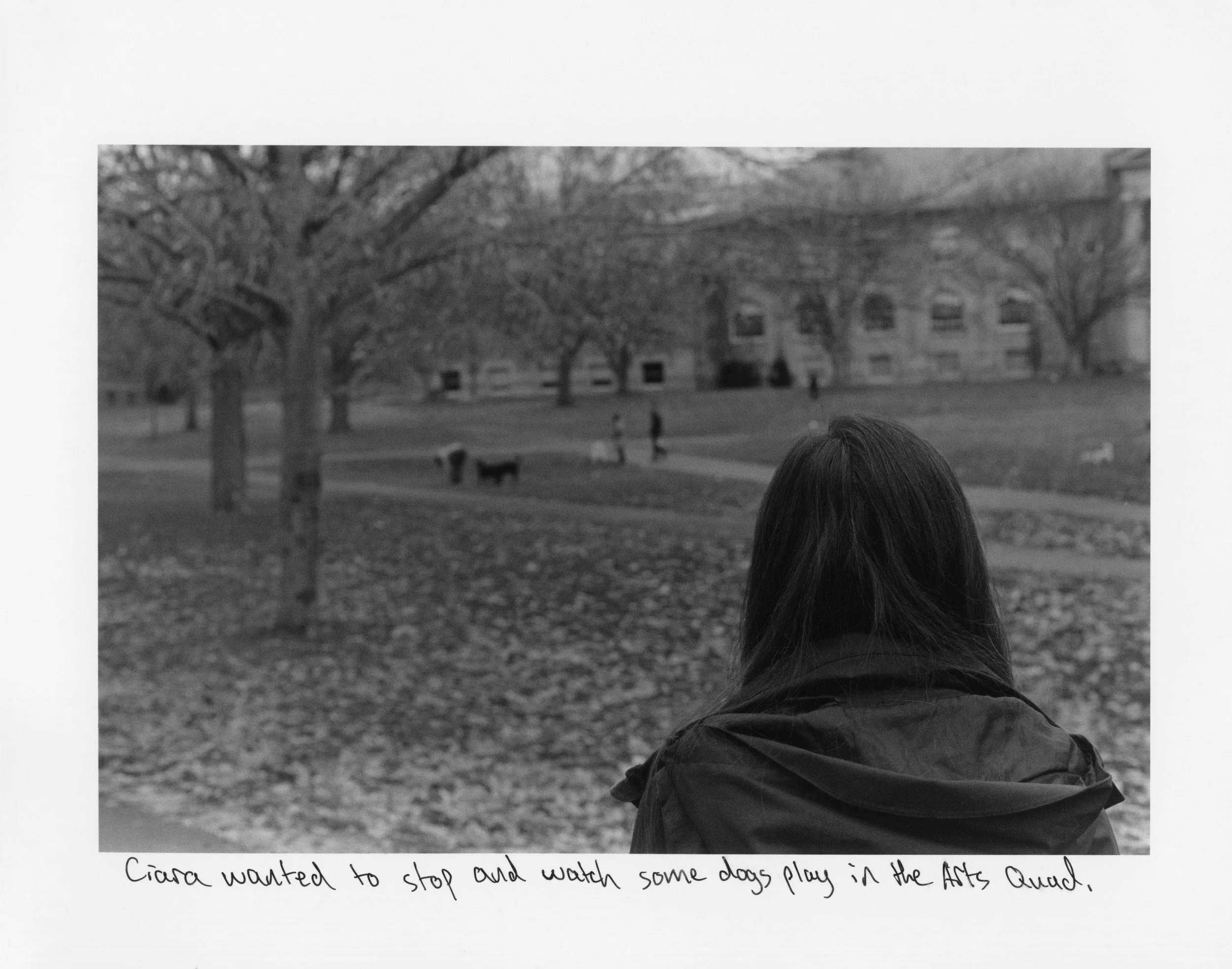 Ciara wanted to stop and watch some dogs play in the Arts Quad.