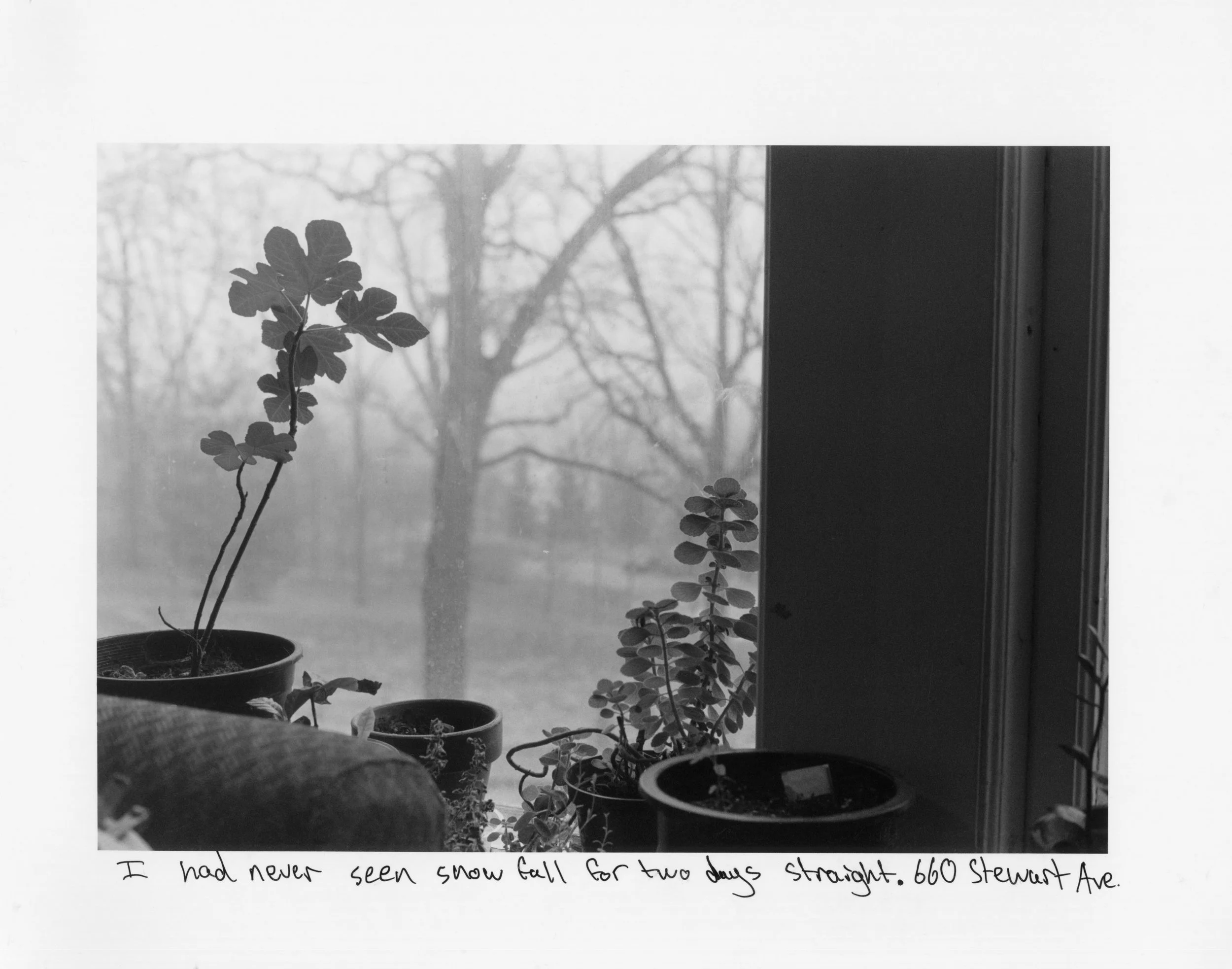 I had never seen snow fall for two days straight. 660 Stewart Ave.