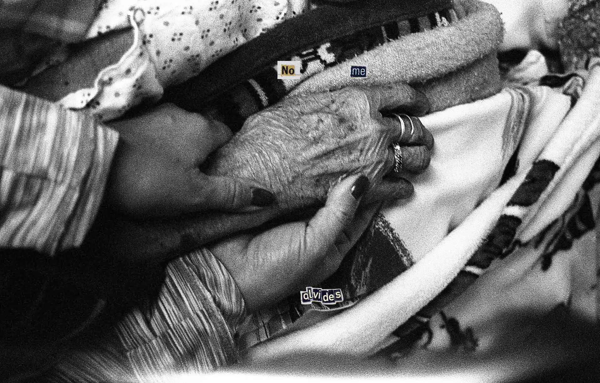 nomeolvides.jpg