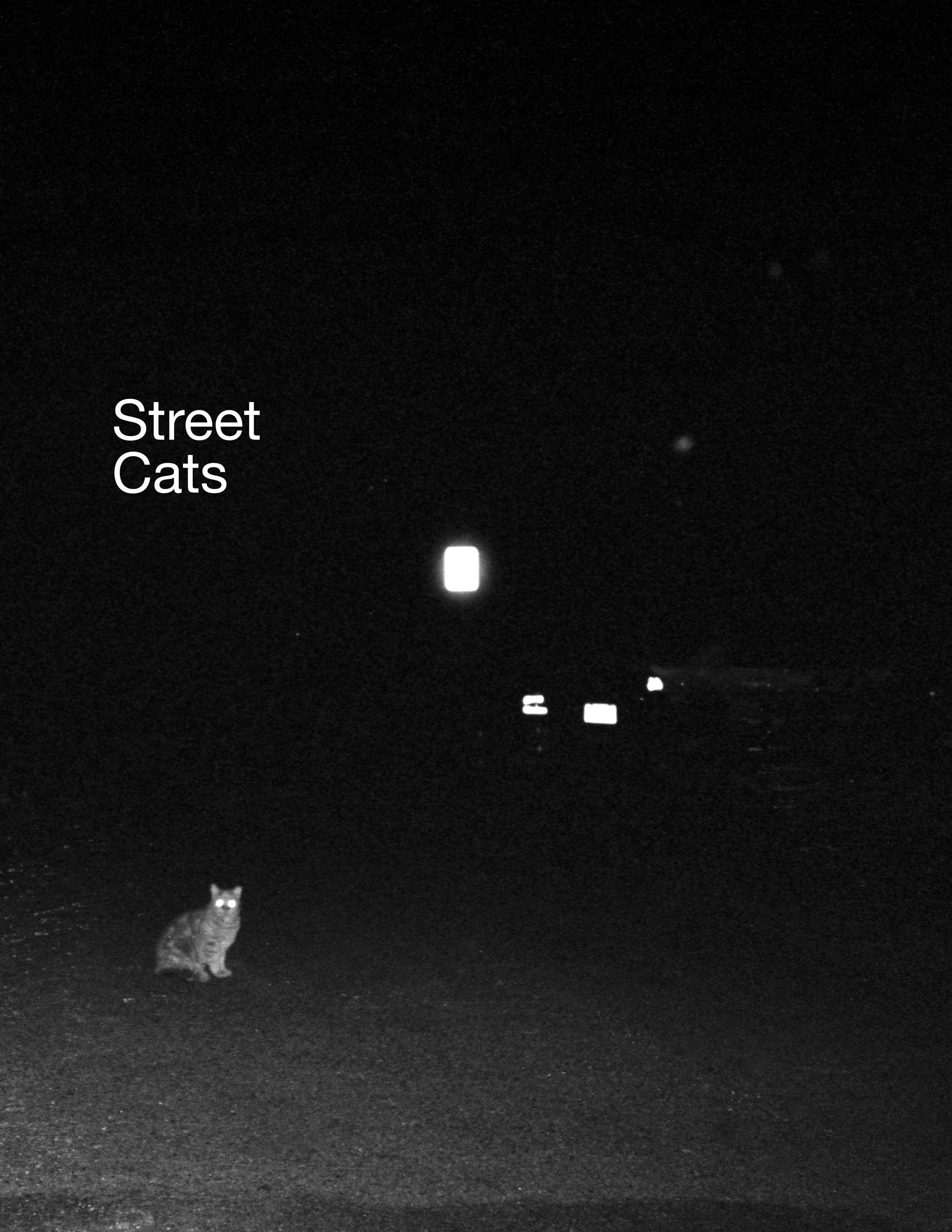 Street Cats Cover.jpg