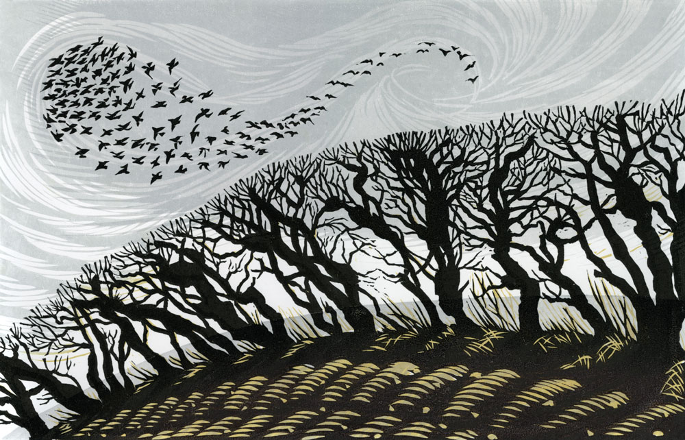 WINTER STARLINGS – edition sold