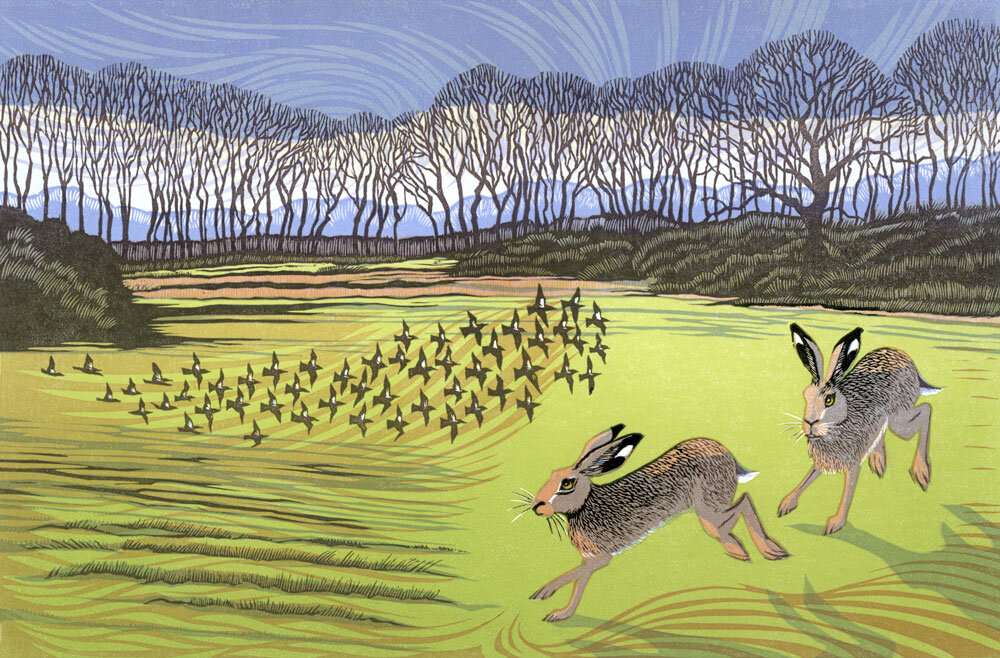 HARES &amp; FIELDFARES