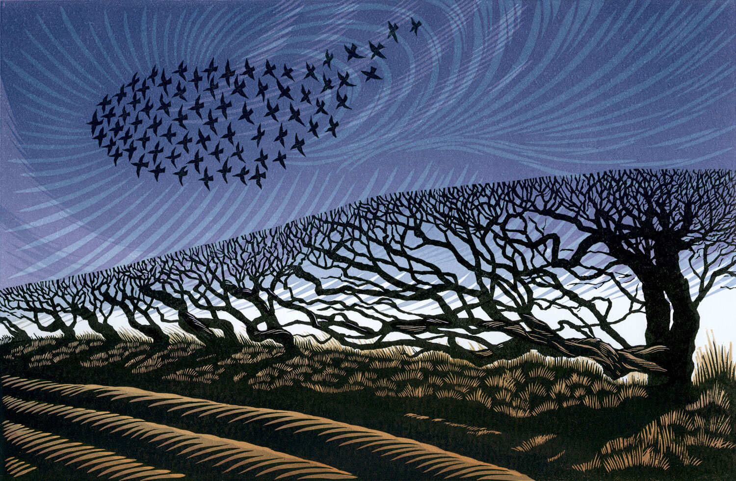 STORM STARLINGS – edition sold