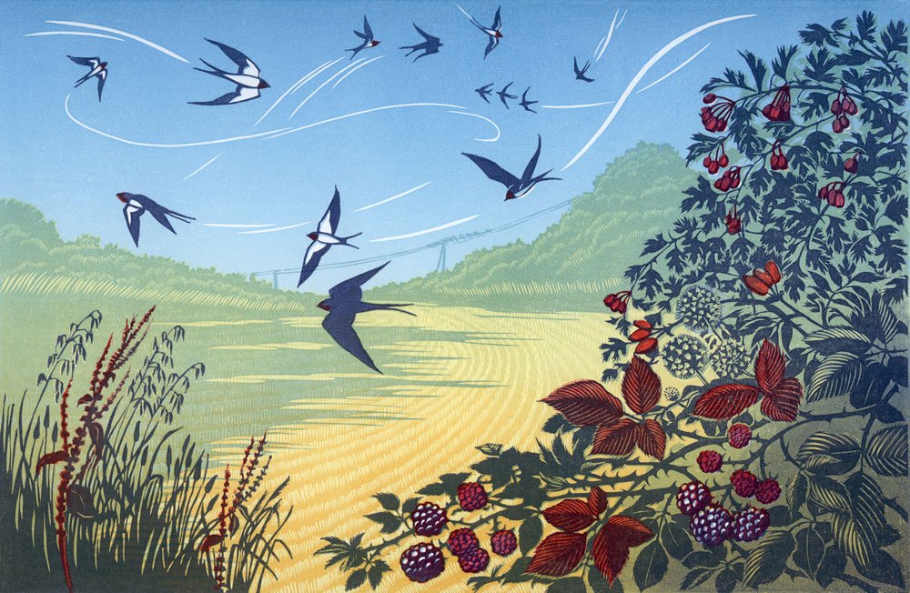 SEPTEMBER SWALLOWS