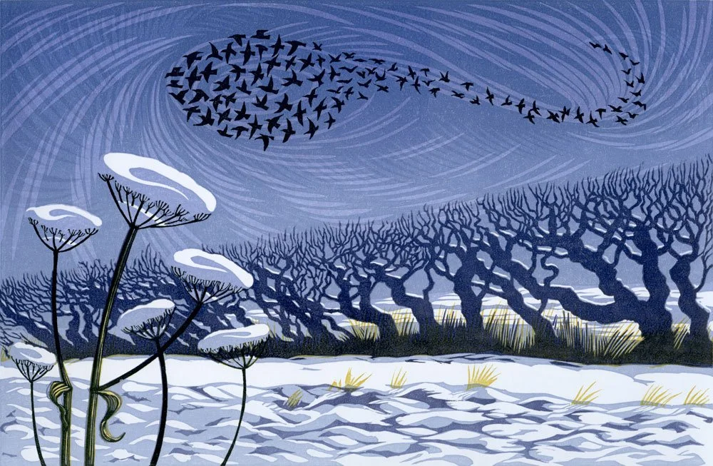 SNOW STARLINGS – edition sold