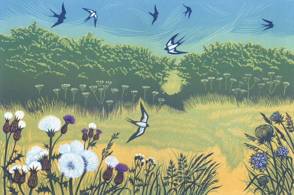 SUMMER SWALLOWS