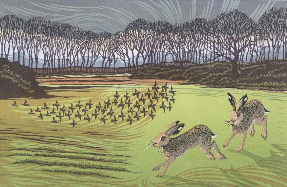 HARES &amp; FIELDFARES – edition sold