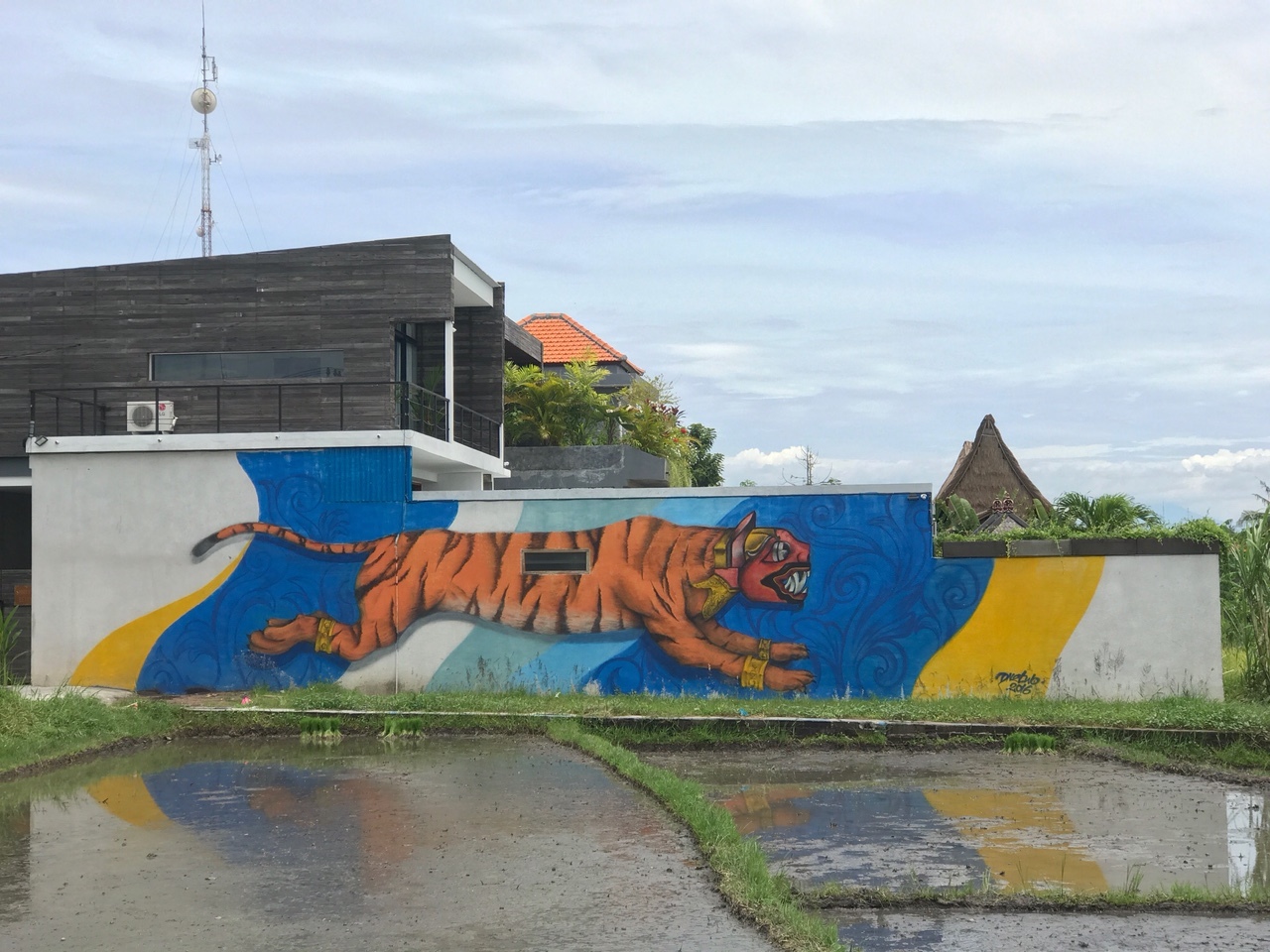 Tiger Graffiti Canggu Bali.JPG