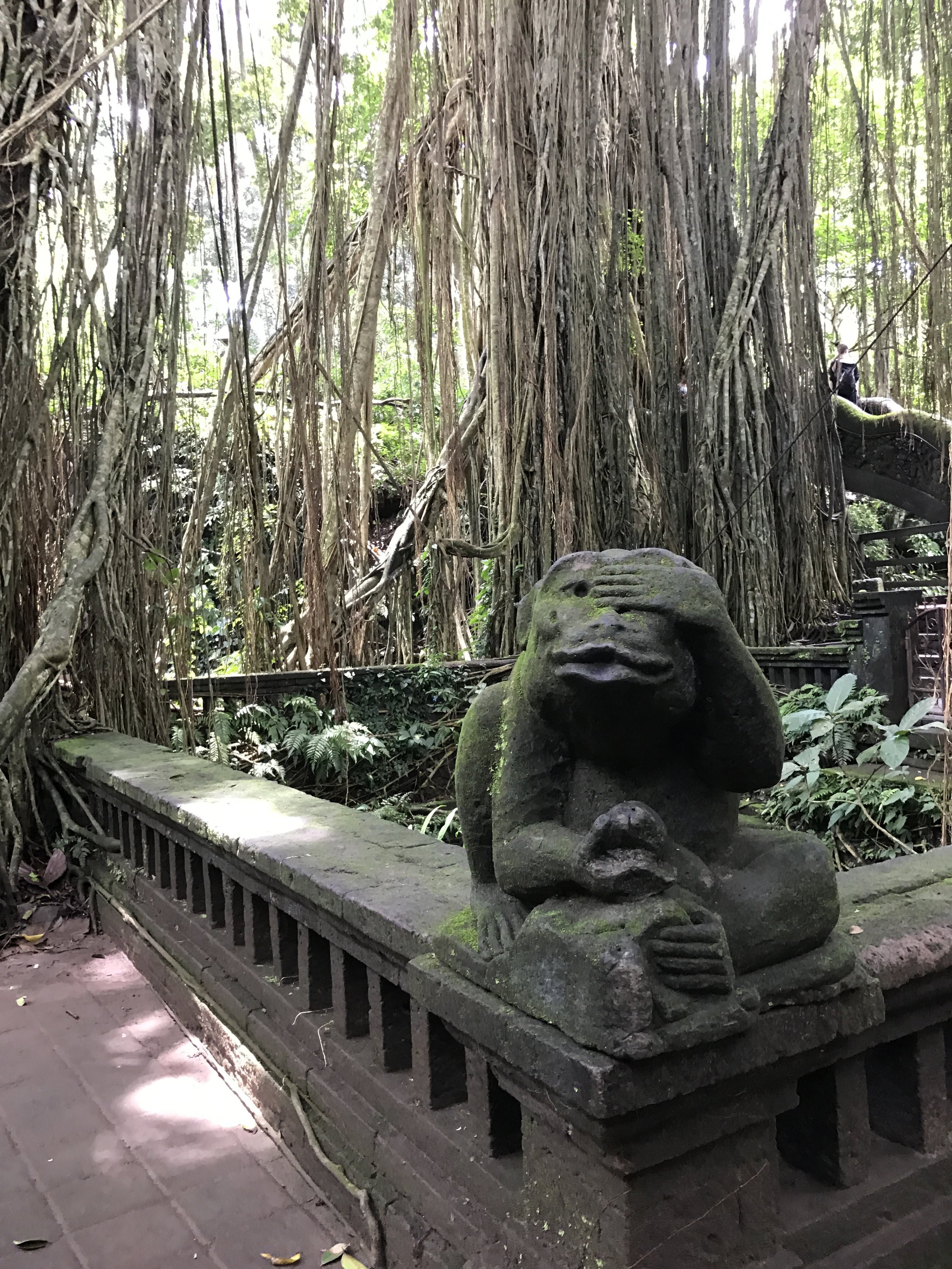 Ubud Sacred Monkey Forest_See No Evil.JPG