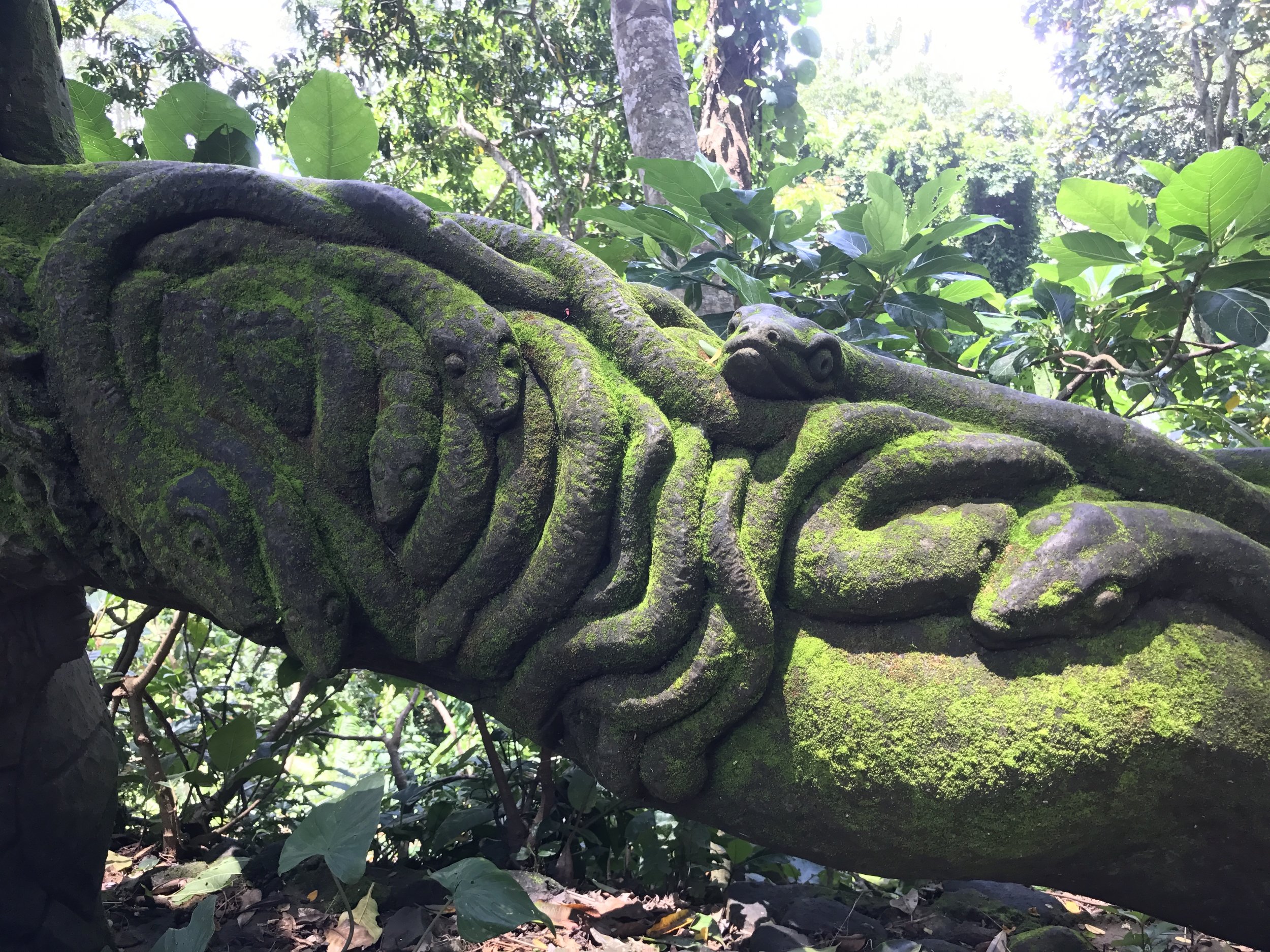 Ubud Sacred Monkey Forest_Snakes.JPG