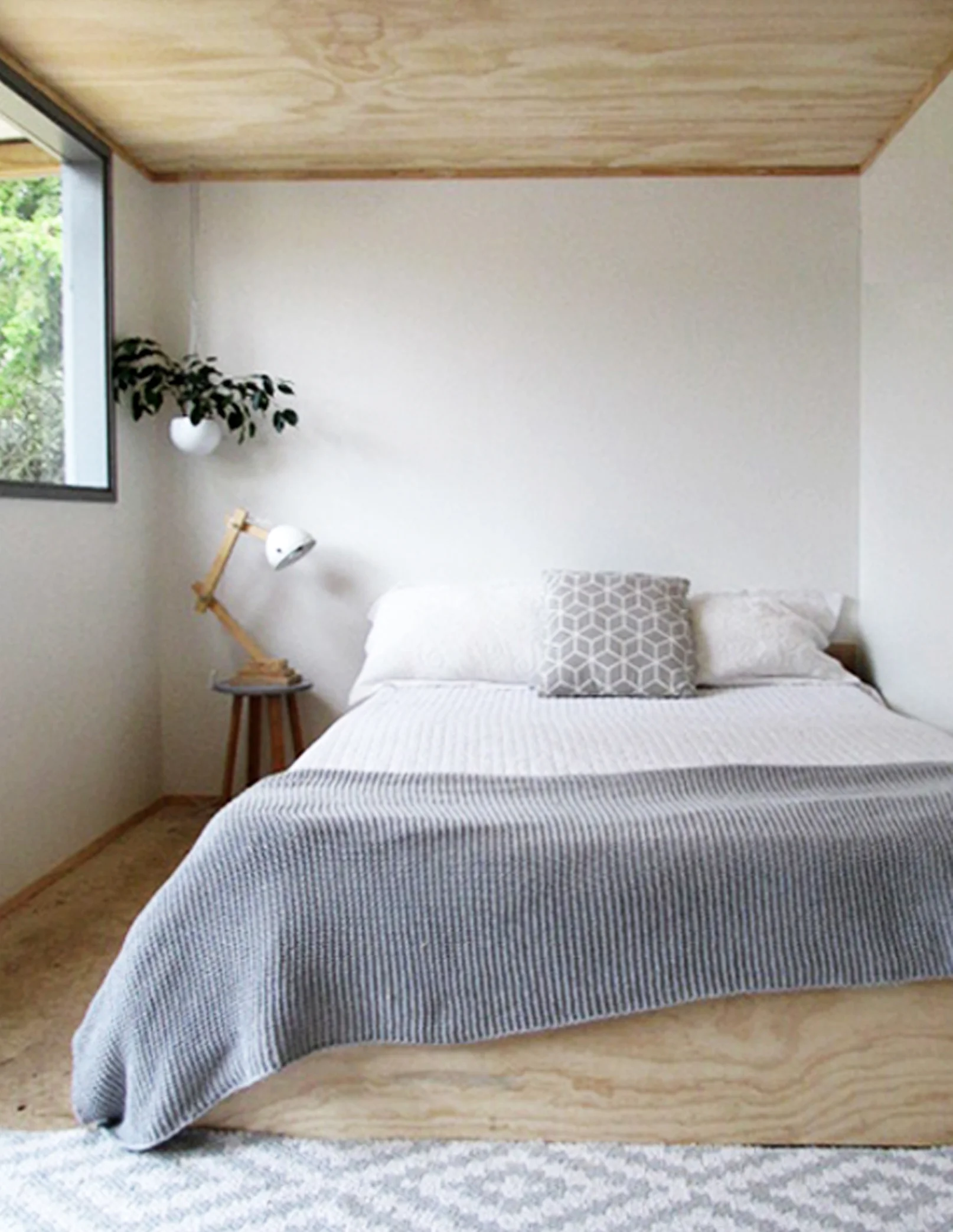 Feature untreated ply ceiling with gib walls