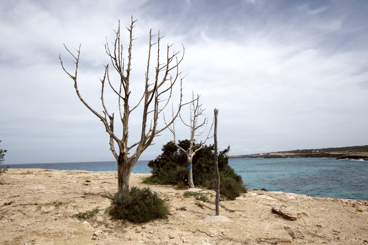 Cala Saona