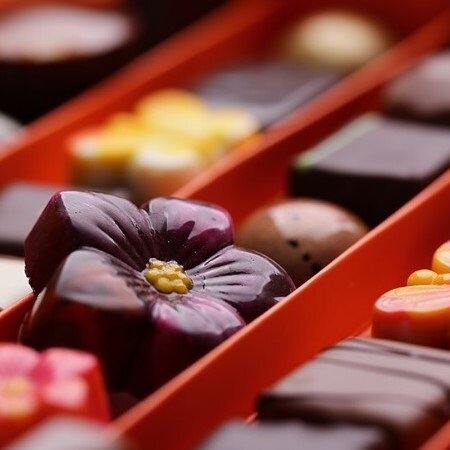 chocoloza_square.jpg