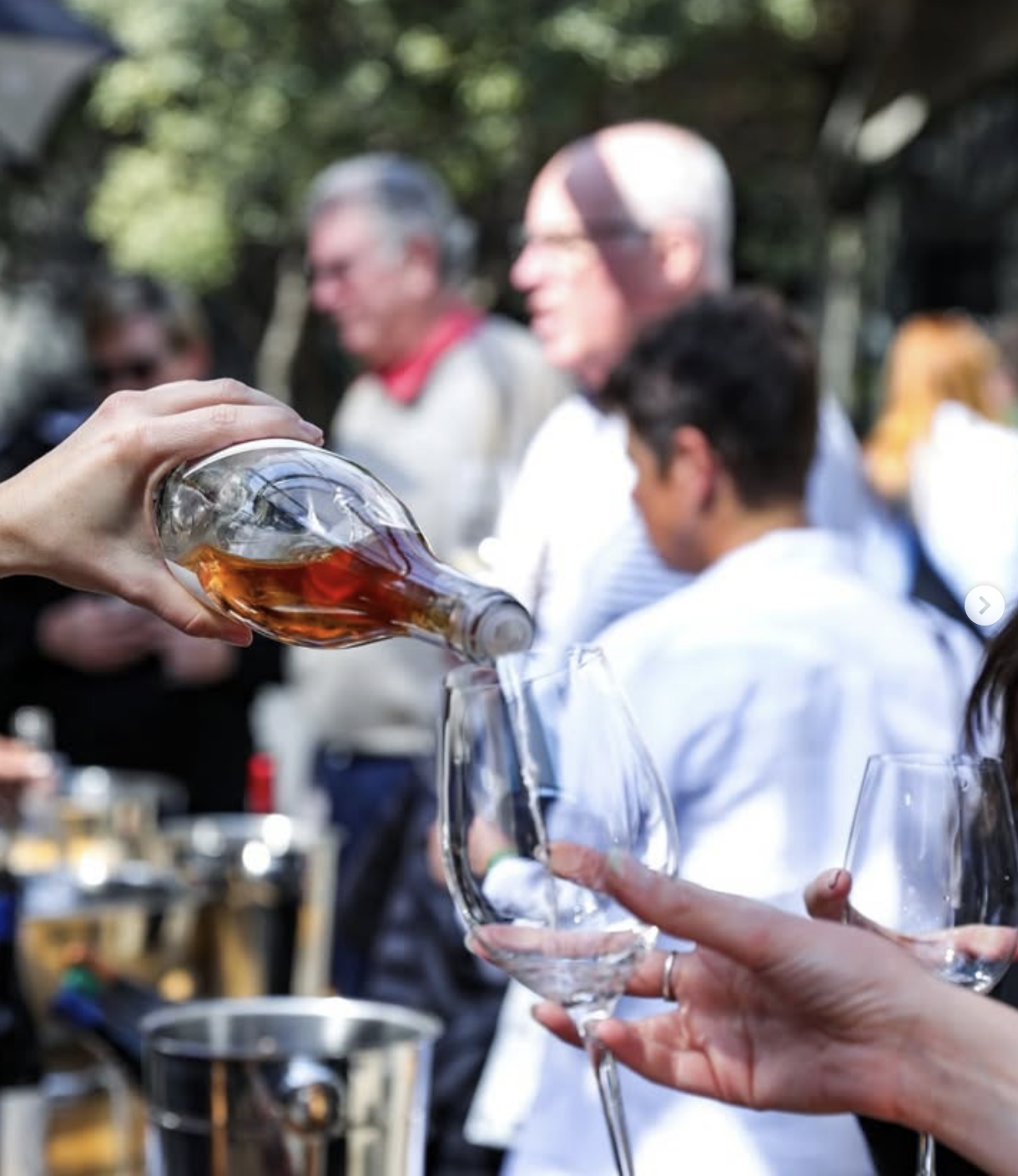Wine 44: The Slow Edition recap