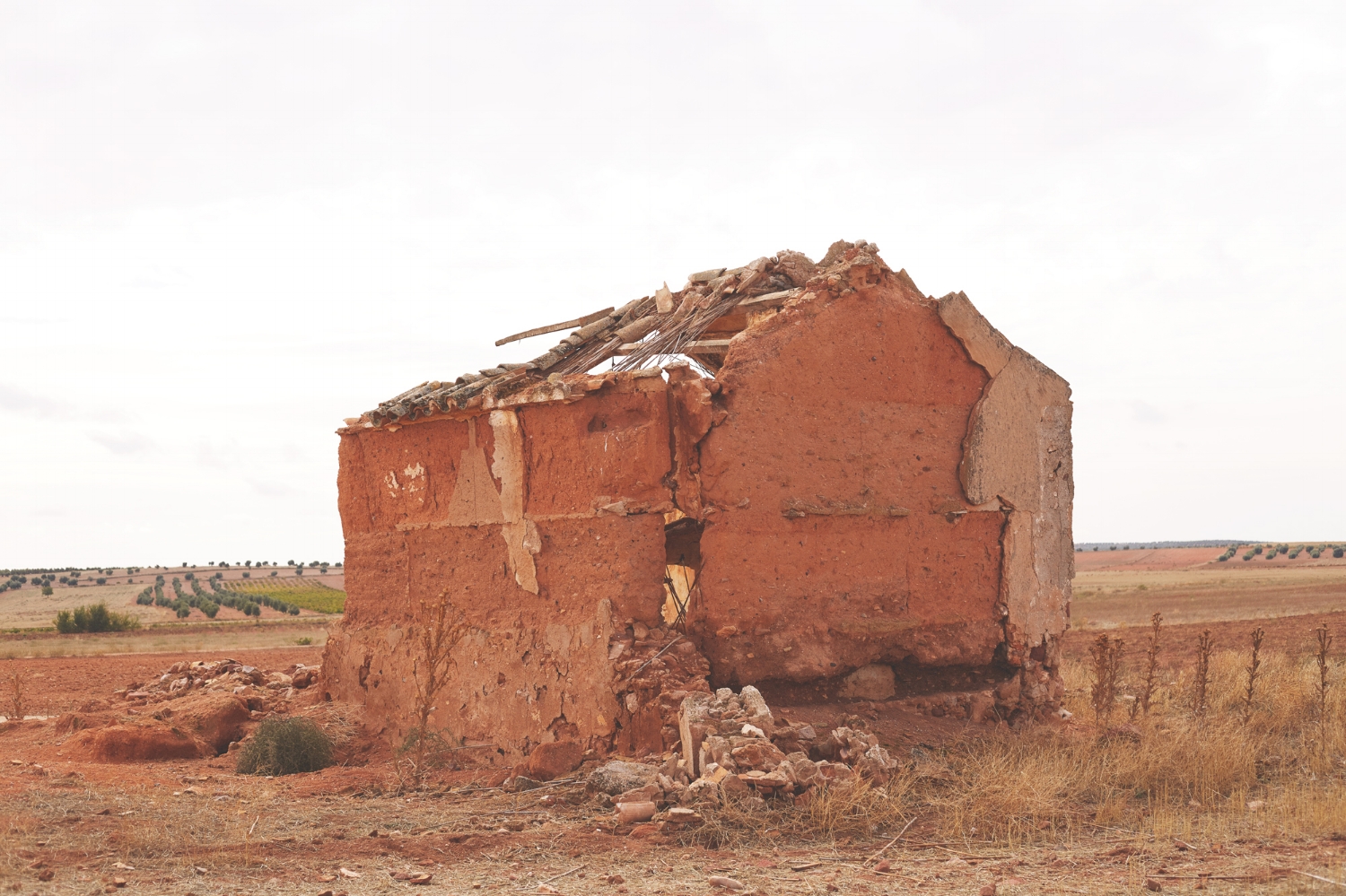 CASITAS_COLOR_BAJA_135.jpg