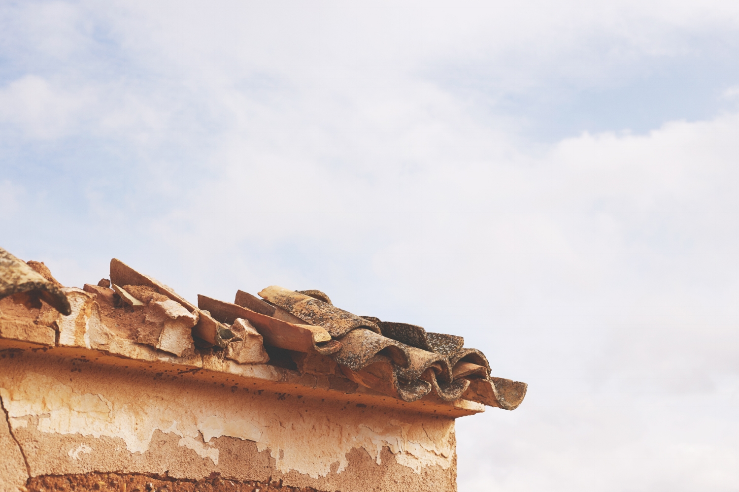 CASITAS_COLOR_BAJA_107.jpg