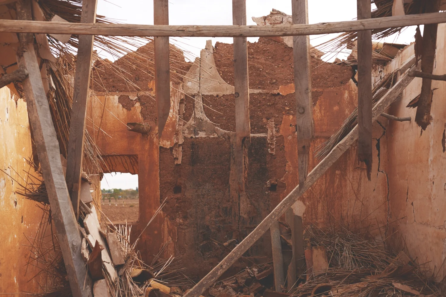 CASITAS_COLOR_BAJA_110.jpg
