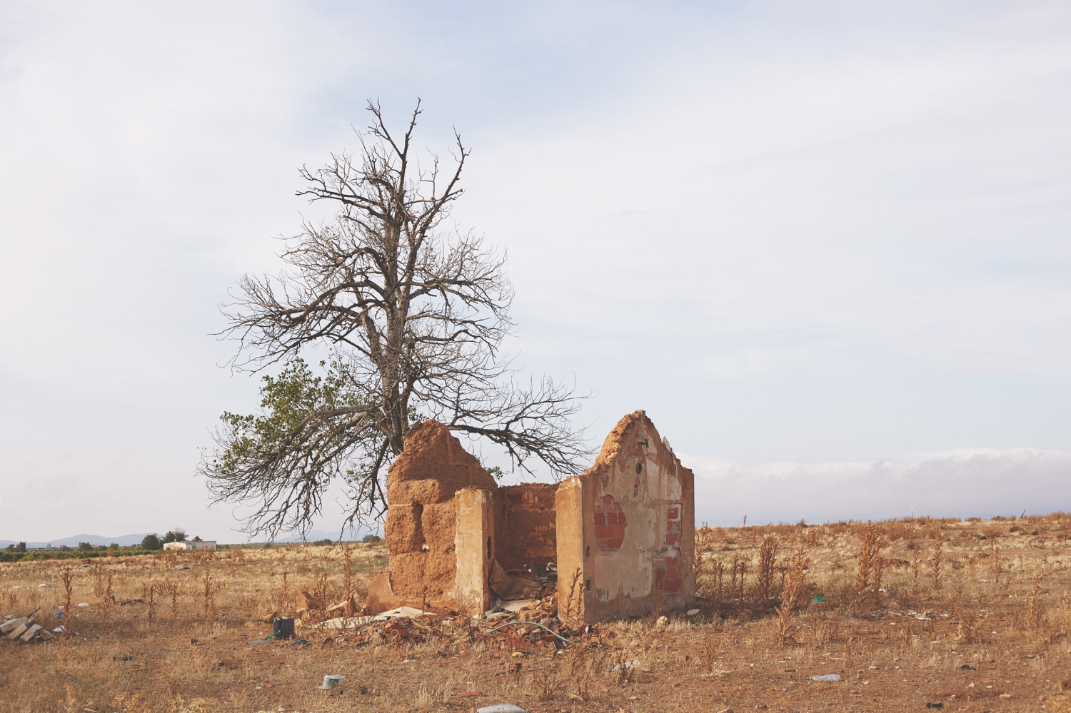 CASITAS_COLOR_BAJA_083.jpg