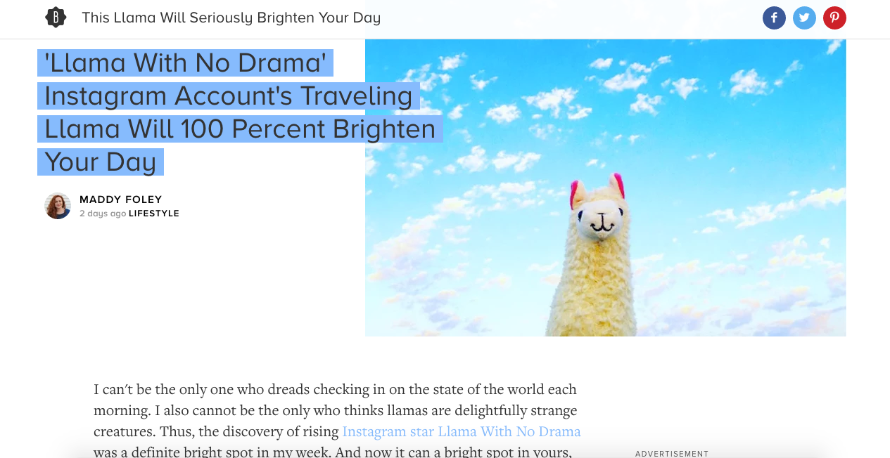 10-Bustle.png