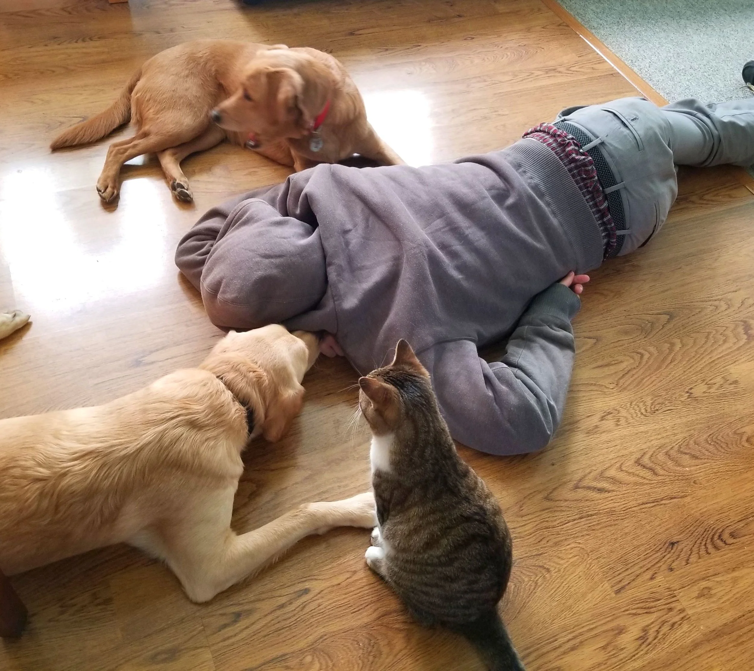 20180422_140747.jpg
