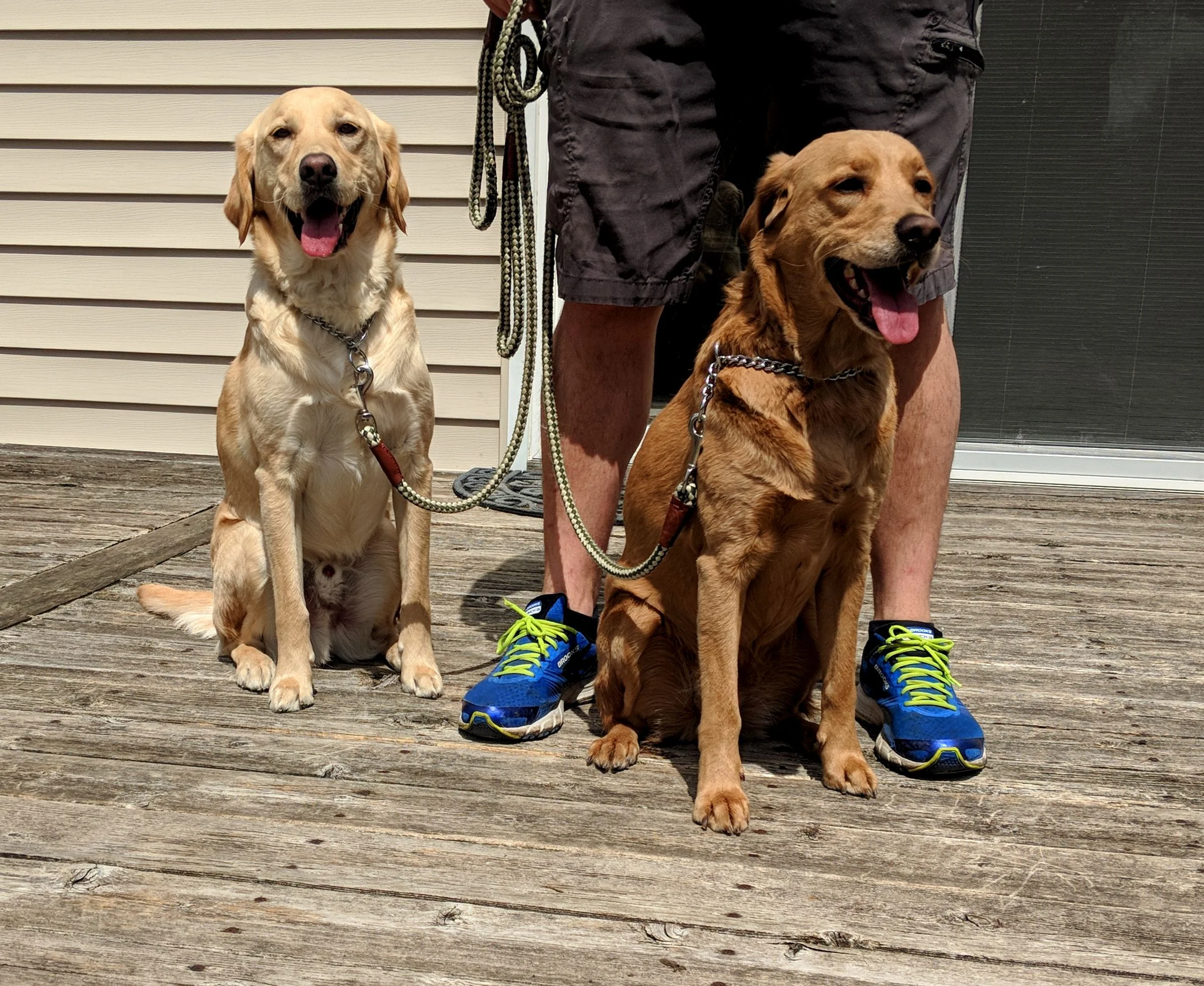20180422_140433.jpg
