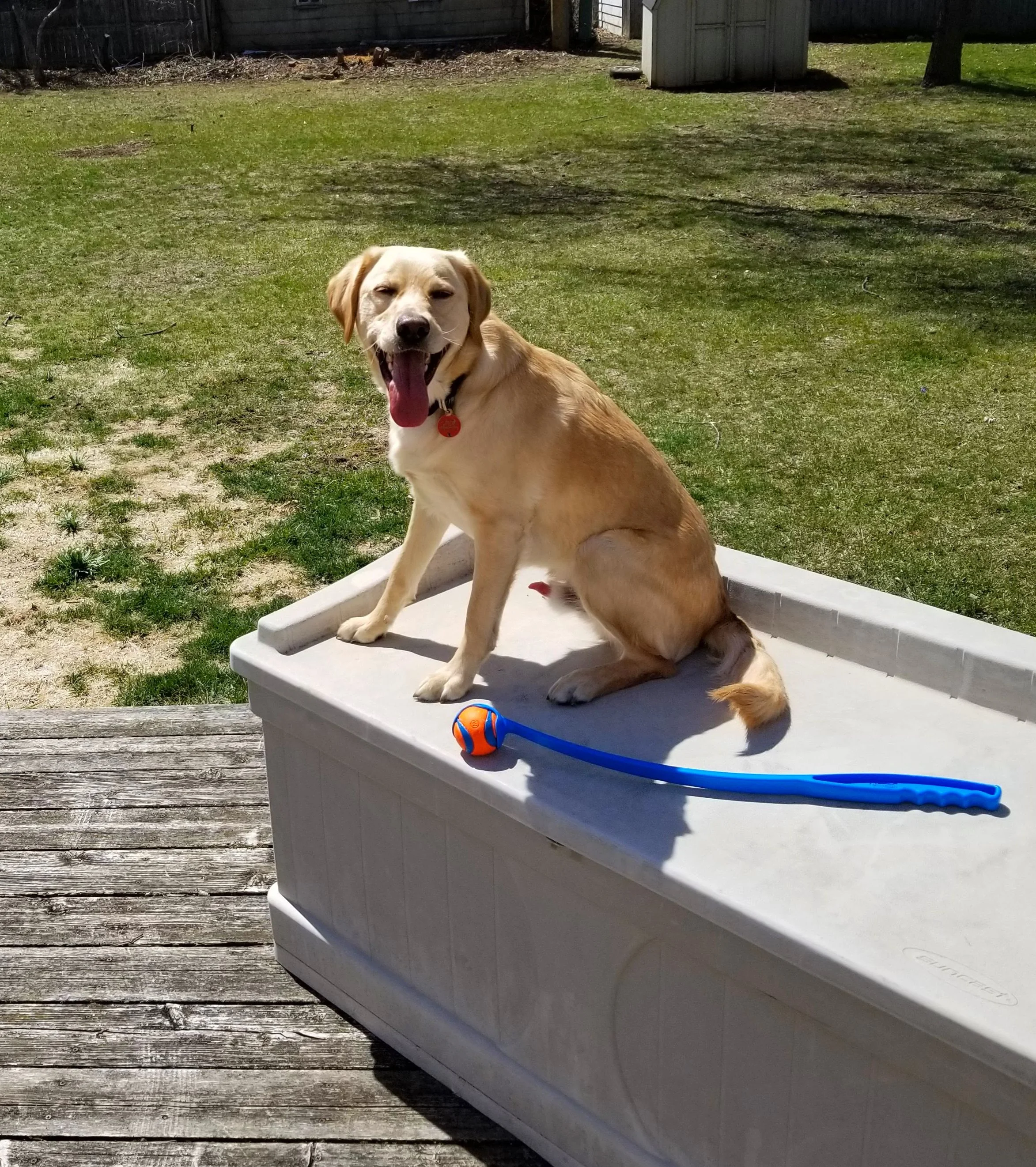 20180422_140954.jpg