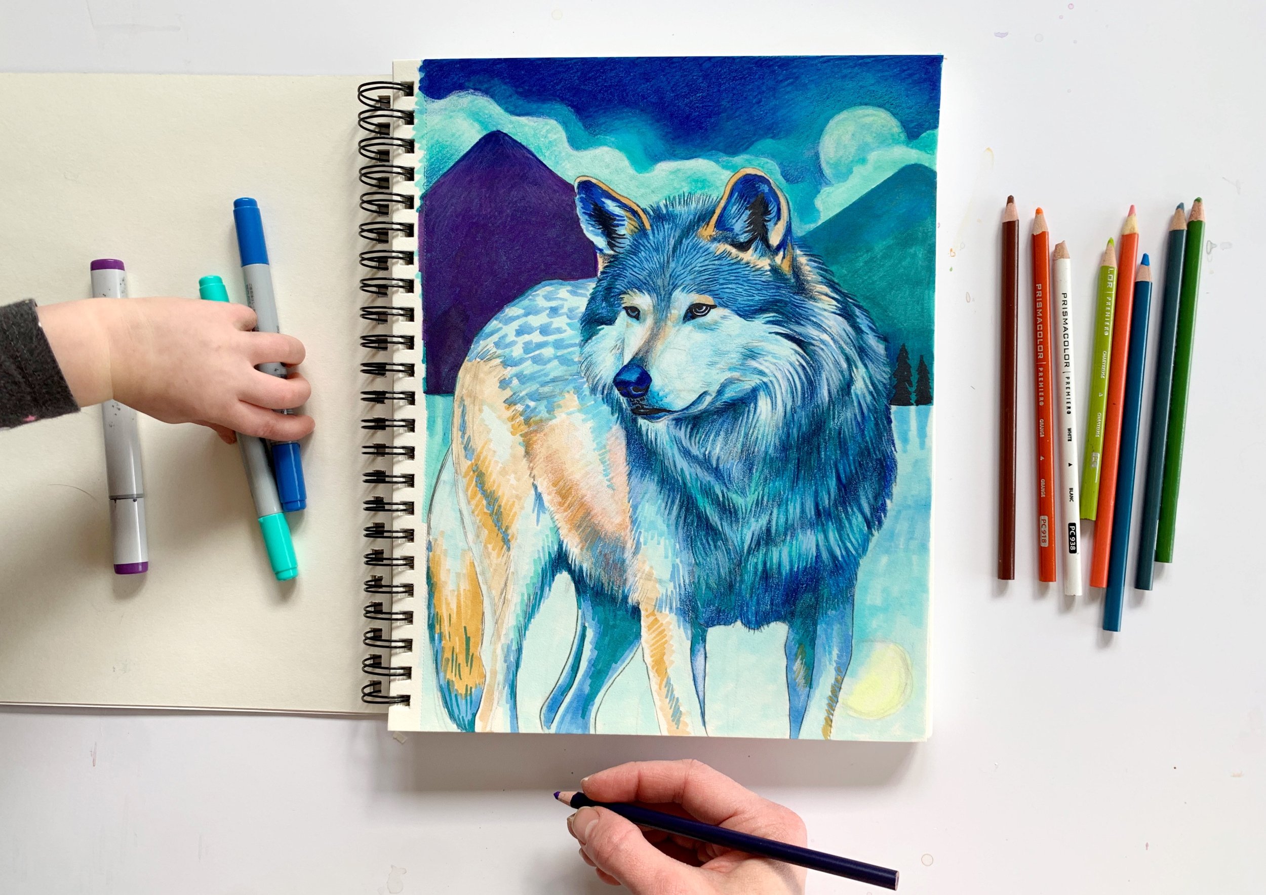 Mini Sketchbook Tour  How to Get Motivated to Create? — Lauren Elizabeth  Animal Art