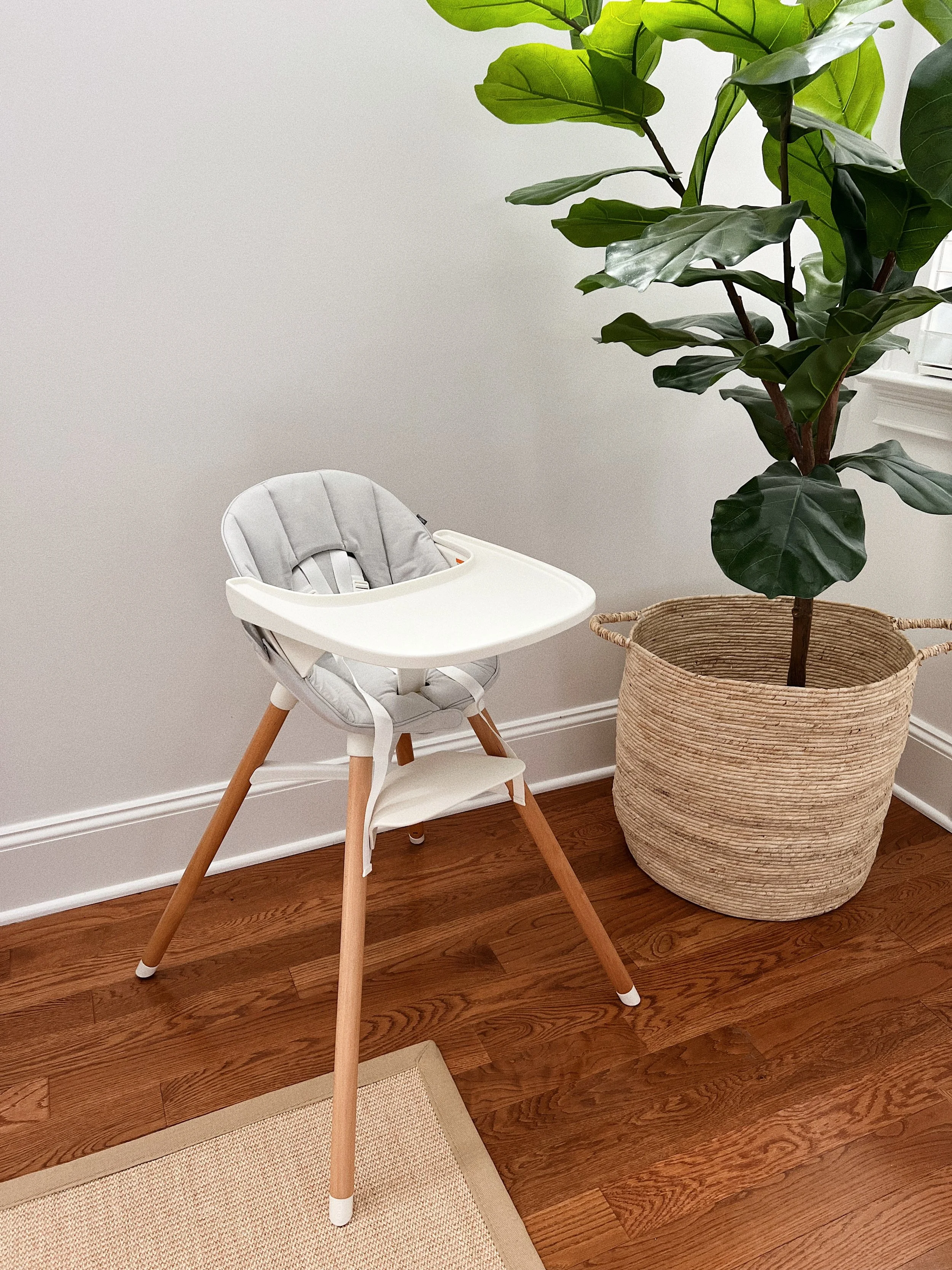 A Love Letter to Lalo