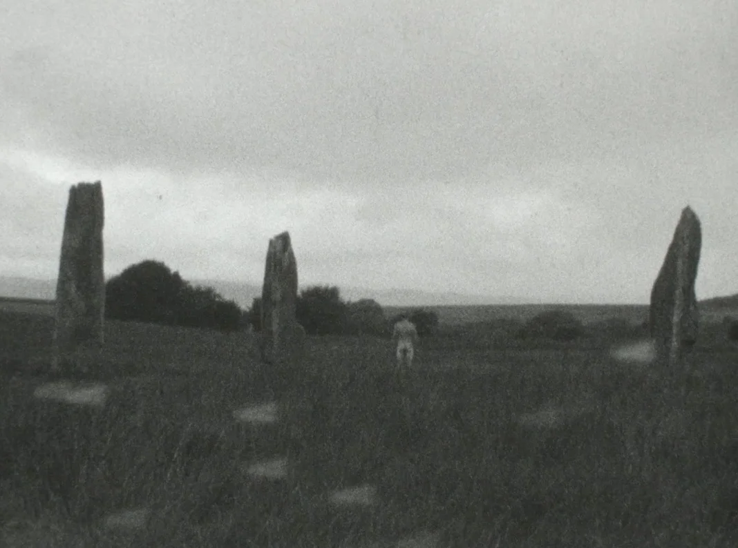 ALL THINGS MUST CHANGE AND REMAIN. 2018. KODAK TRI-X Reversal 7266 Super 8mm film transferred to digital video. 2’45” vimeo.com/290217413