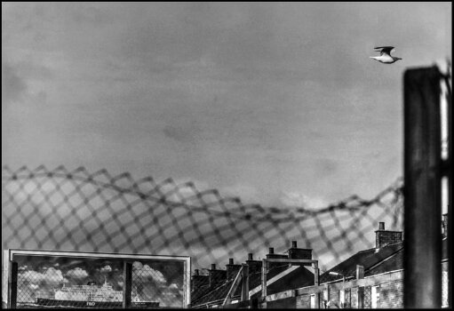  Christophe Avella-Bagur. Belfast, vague et oiseau. 1992. photographie 5 ex, tirage argentique, 24x30cm. 250€ 