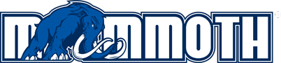 MAMMOTH_no_slogan-2-R-white.png