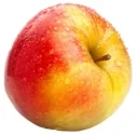 jonagold.jpg