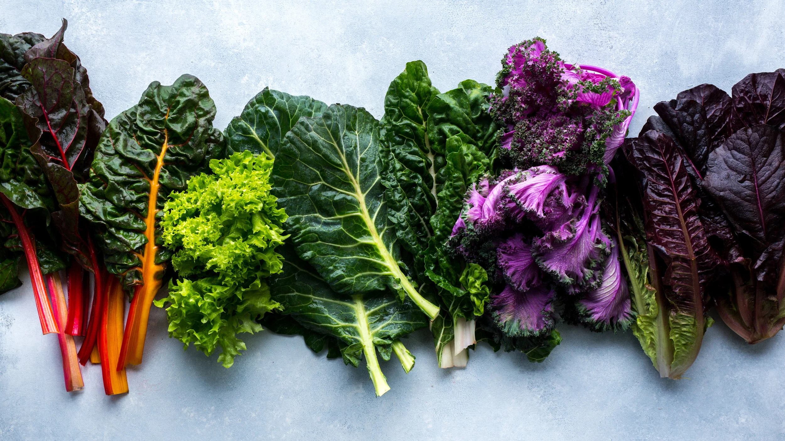 Evergreen-Greens-All-40.jpg