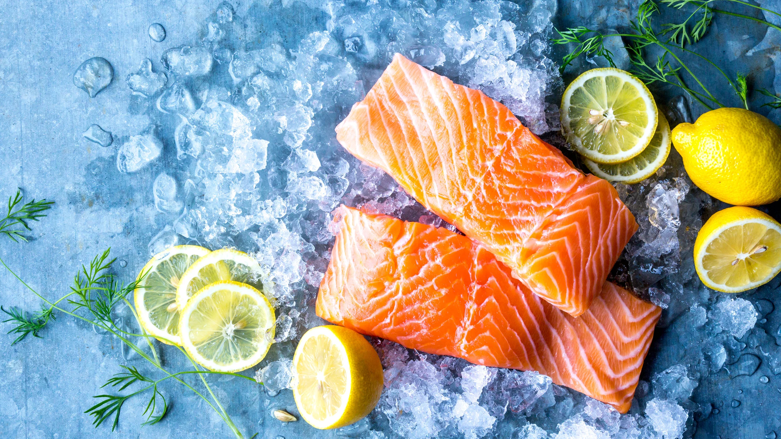 Evergreen-SALMON-34.jpg