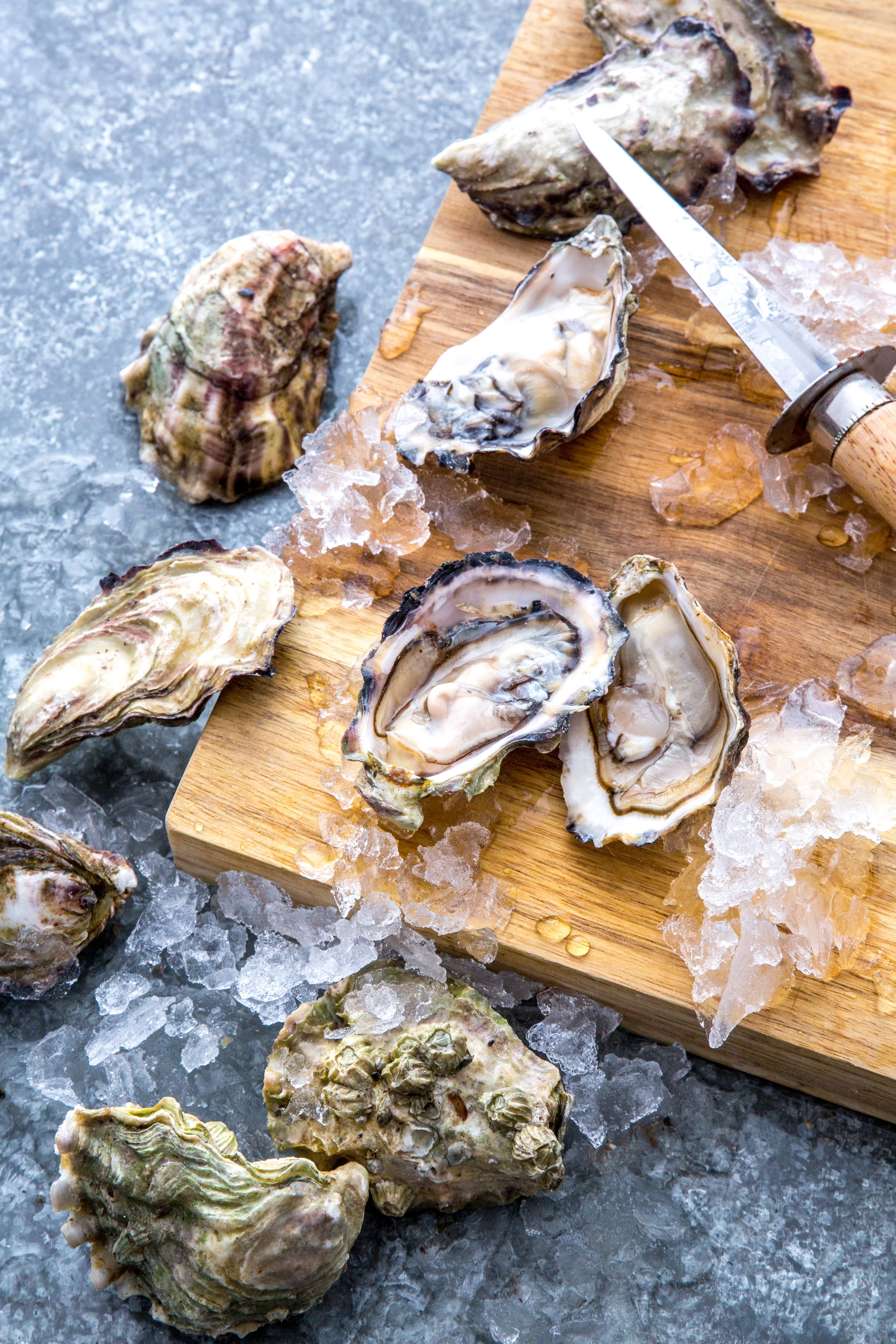 shellfish-39.jpg