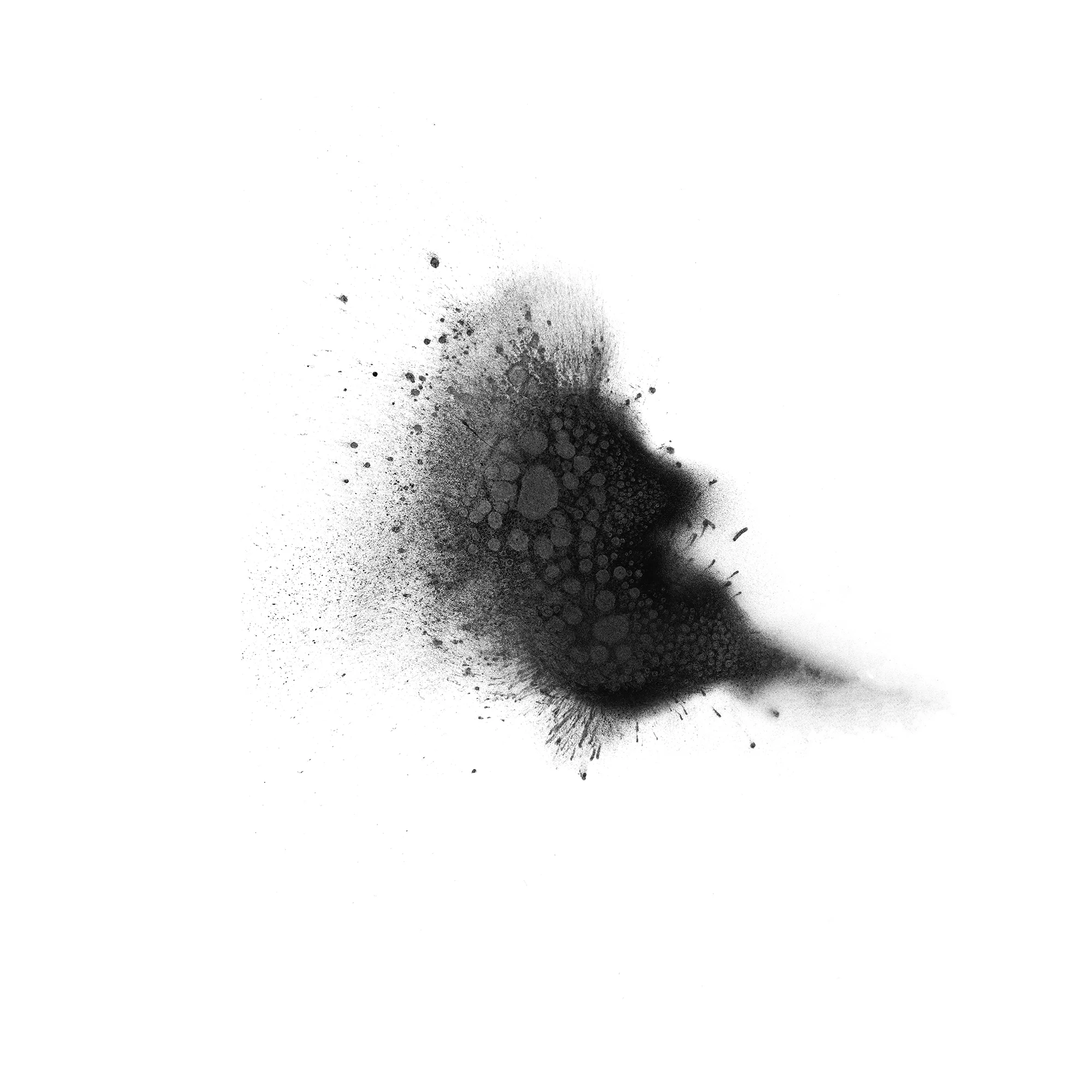 white2.jpg