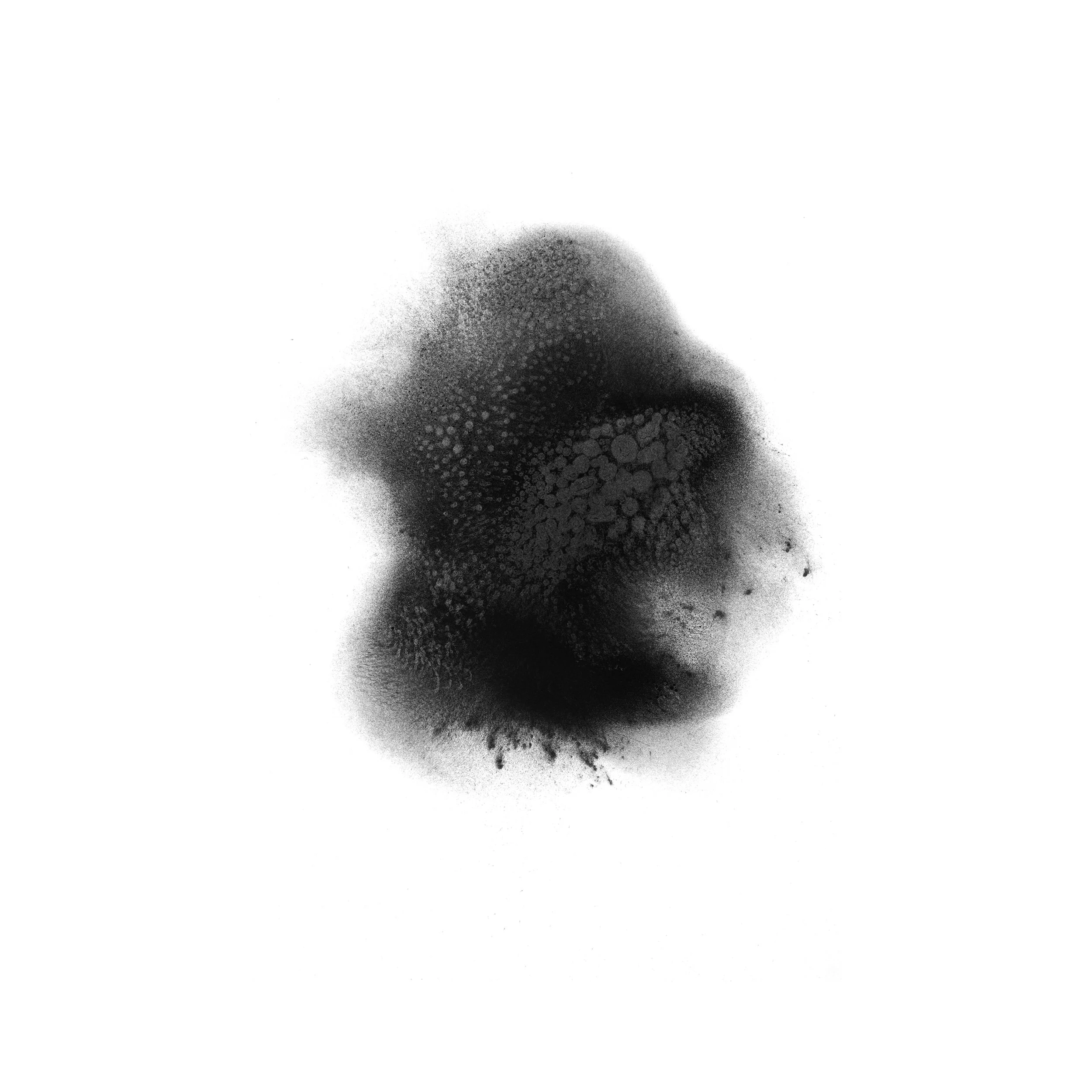 white80.jpg