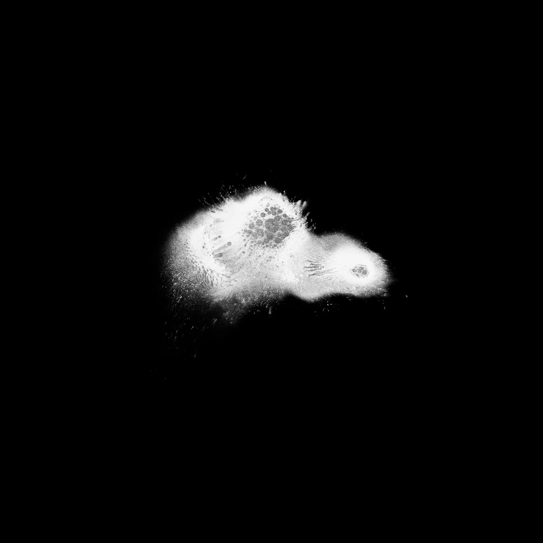 series 'Whispering Void' (1 of 1).jpg