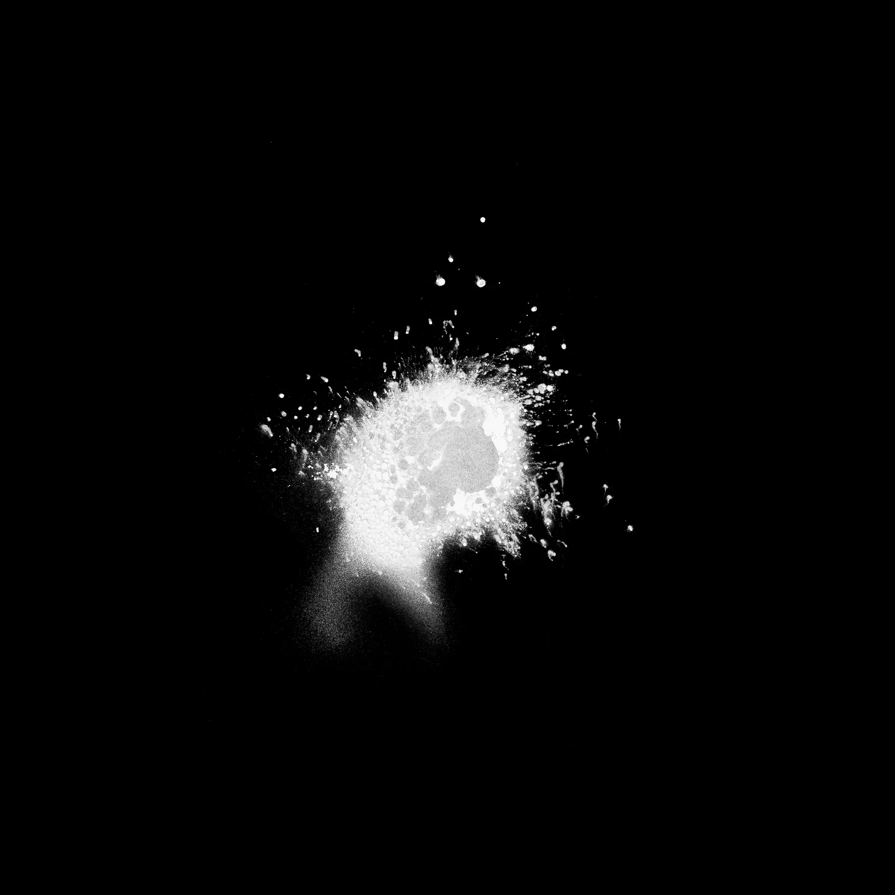 series 'Whispering Void' (1 of 1)-2.jpg