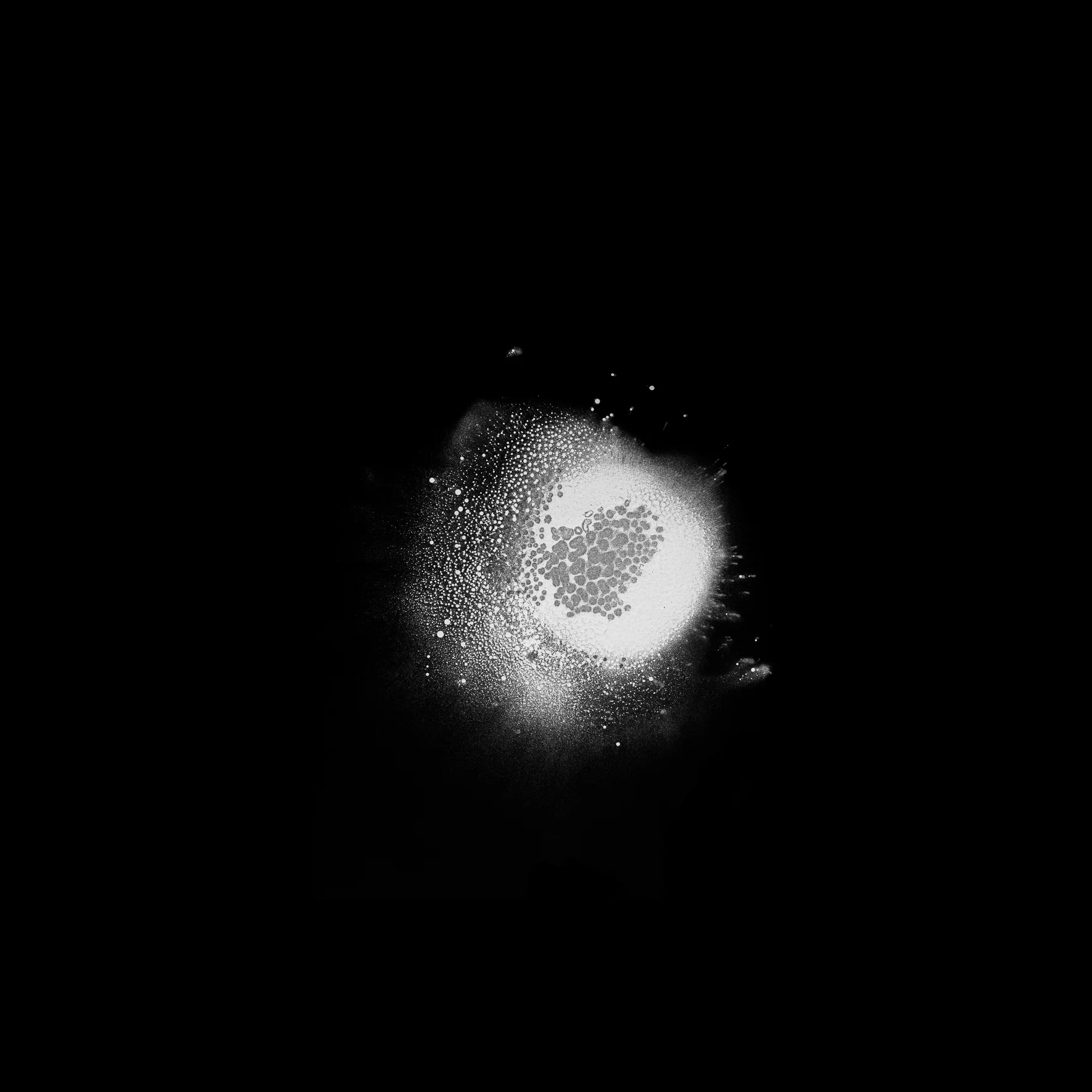series 'Whispering Void' (1 of 1)-3.jpg
