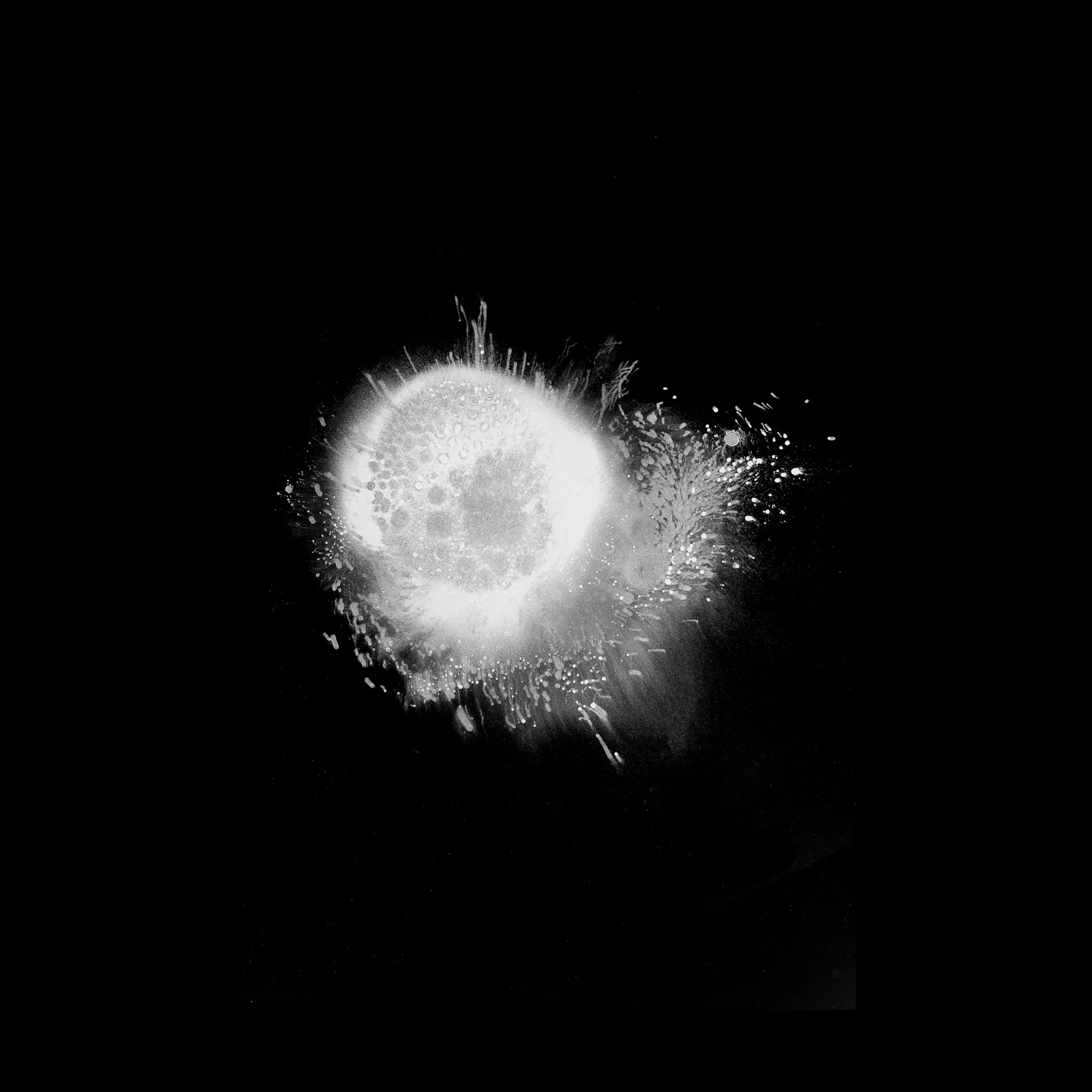 series 'Whispering Void' (1 of 1)-6.jpg
