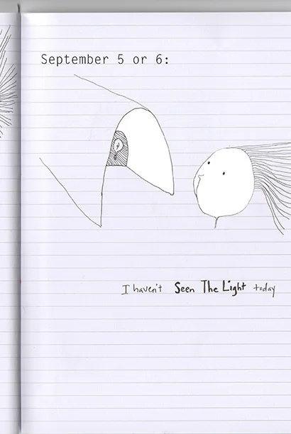 seenthelight01.jpg