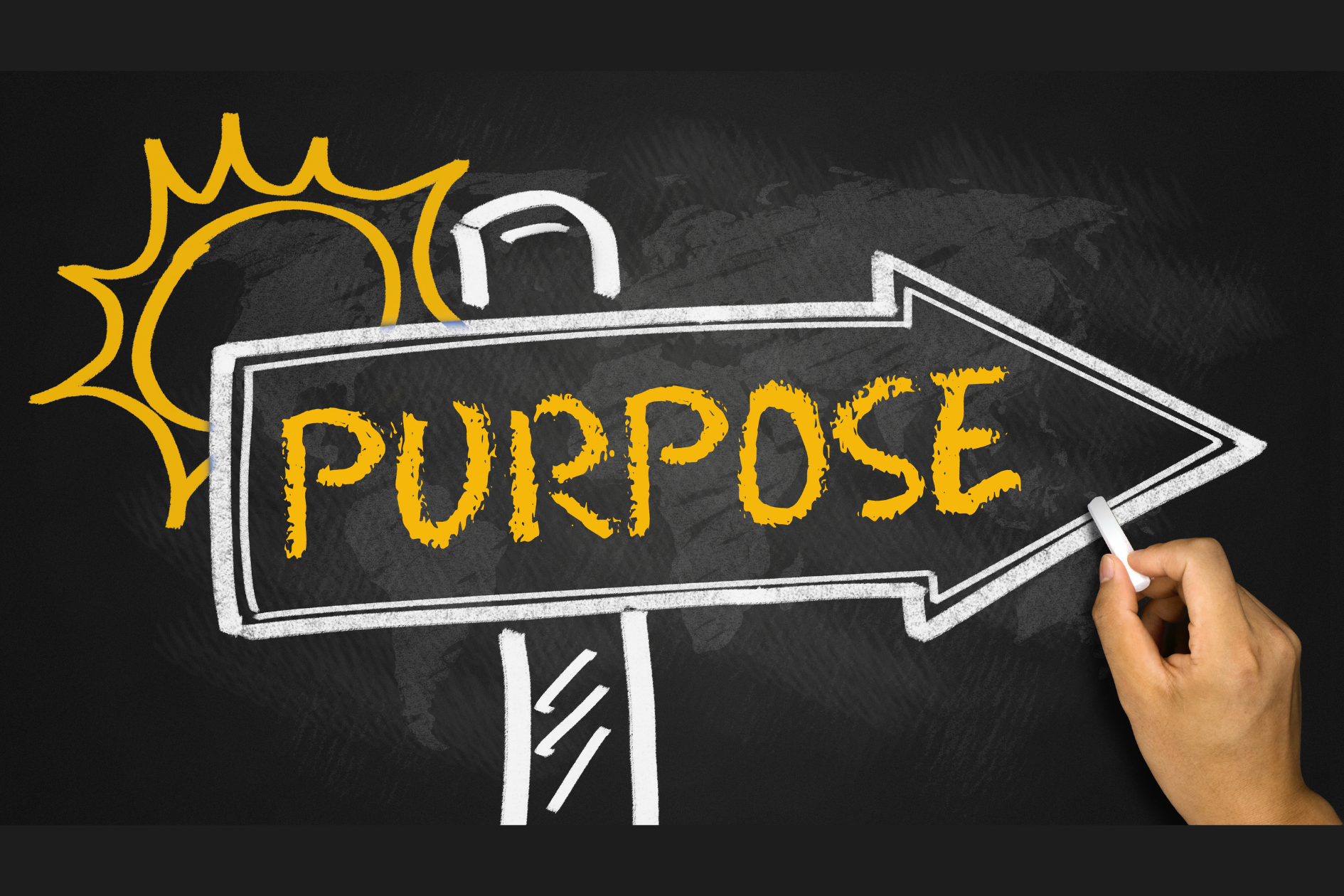 Pursue Purpose - November 2020 Newsletter