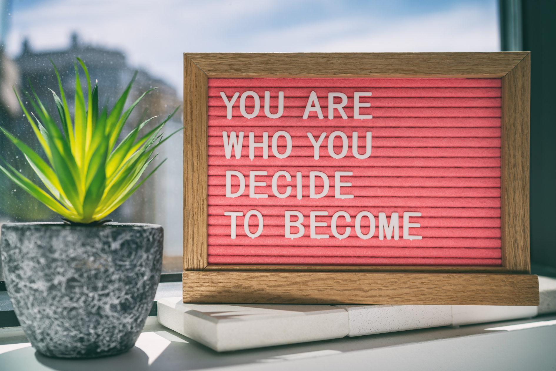 JANUARY 2026 Newsletter - SETTING INTENTIONS: Embarking on Our Personal Journeys